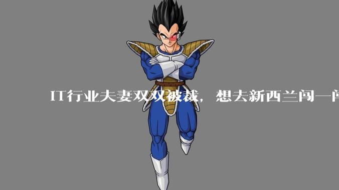 IT行业夫妻双双被裁，想去新西兰闯一闯可以吗？