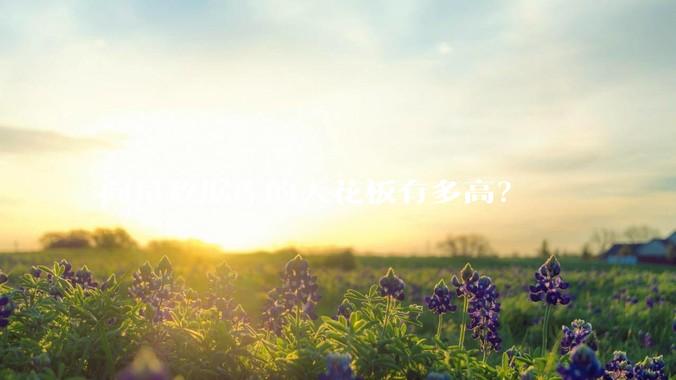 向量数据库的天花板有多高？