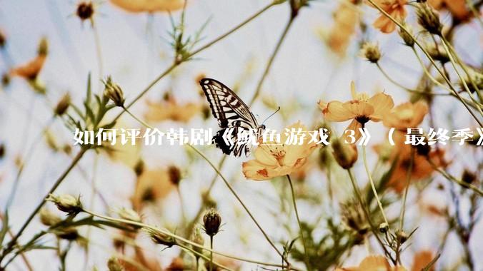 如何评价韩剧《鱿鱼游戏 3》（最终季》？