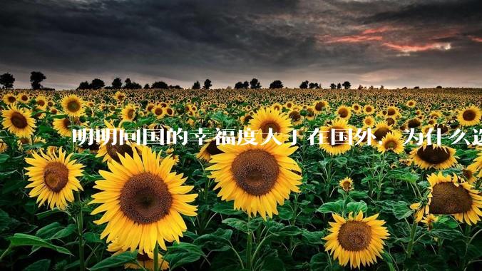 明明回国的幸福度大于在国外，为什么选择留下来呢？