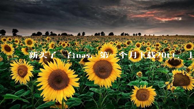 新买了一台nas，第一个月下载20t+，上传5+，不会被网警盯上吧?
