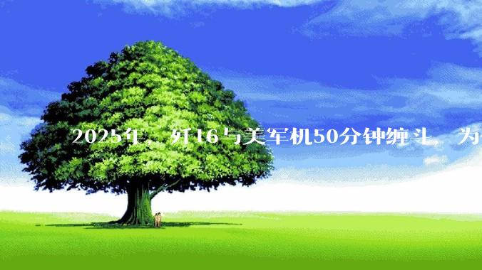 2025年，歼16与美军机50分钟缠斗，为什么知乎上没有任何消息？