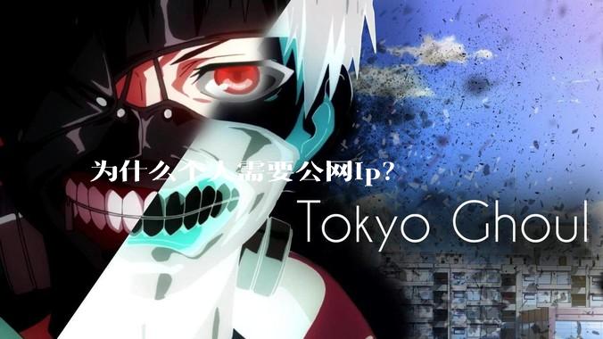 为什么个人需要公网ip？