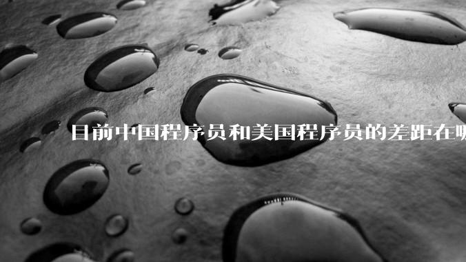 目前中国程序员和美国程序员的差距在哪里？